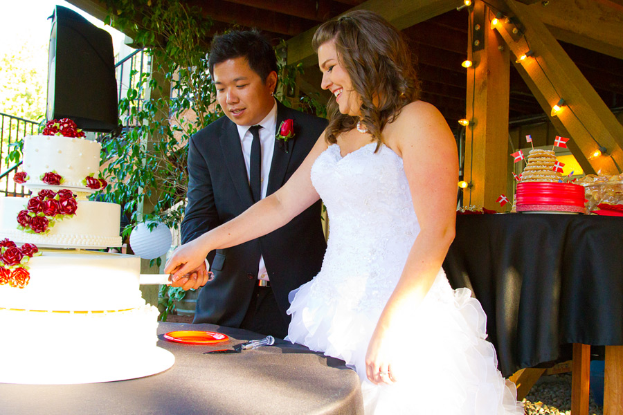 backyard-wedding-eugene-oregon-photographer-050 Eugene Wedding Photographer | Backyard DIY Wedding | Lisa & Derrick