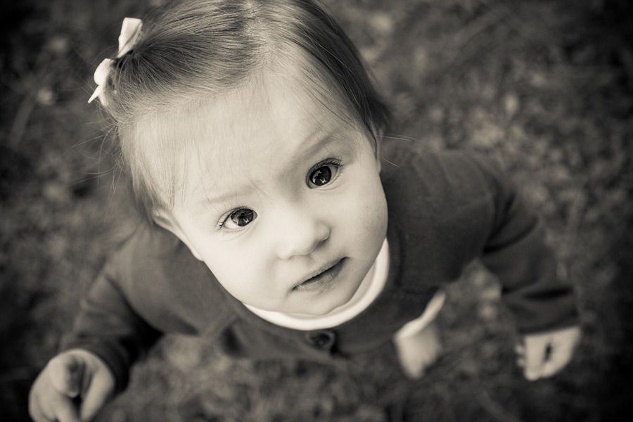 baby-photographers-001 Lucas Family | Armitage Park